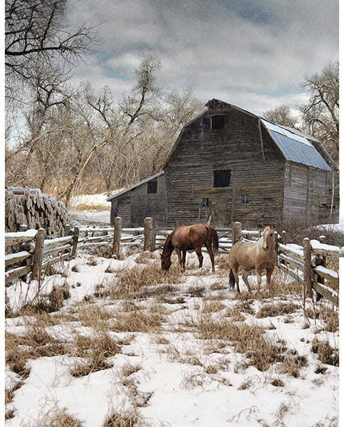 Winterwind Stables Pasture Panel Y5782-725