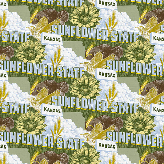 State Spirit - Kansas Blue/Green # 120-5739