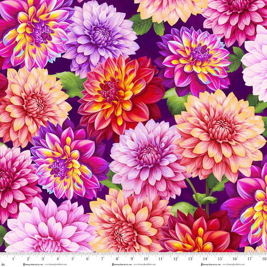 Blissful Blooms Dahlias Purple 3563-55