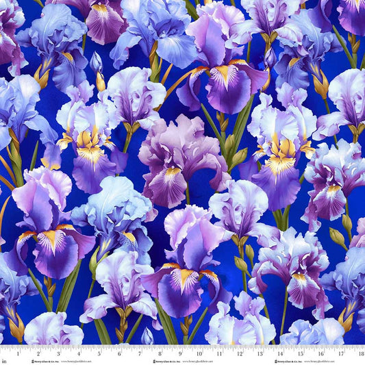 Blissful Blooms Irises Deep Purple 3568-58