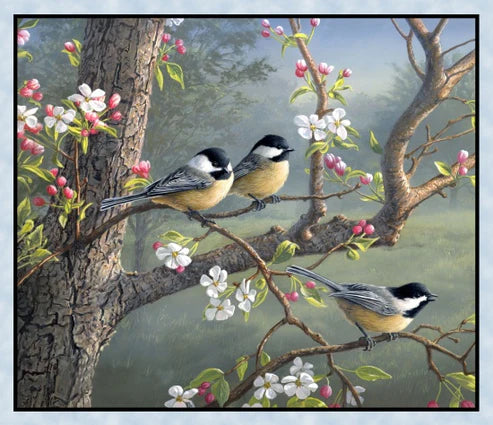 Chickadee Morning Panel
