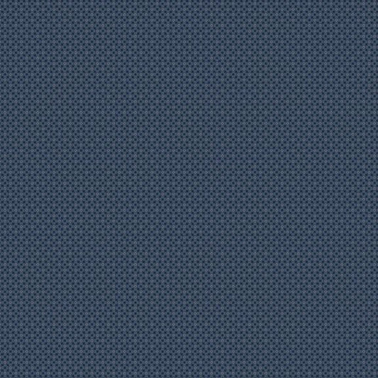 Prairie Dry Goods II #R171657D Navy