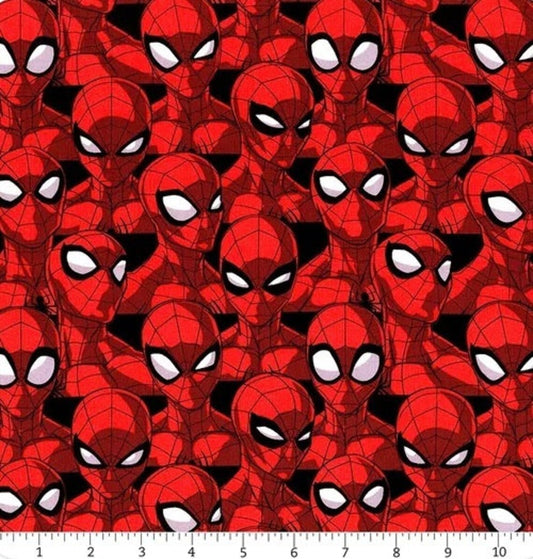 Spider Sense 20244